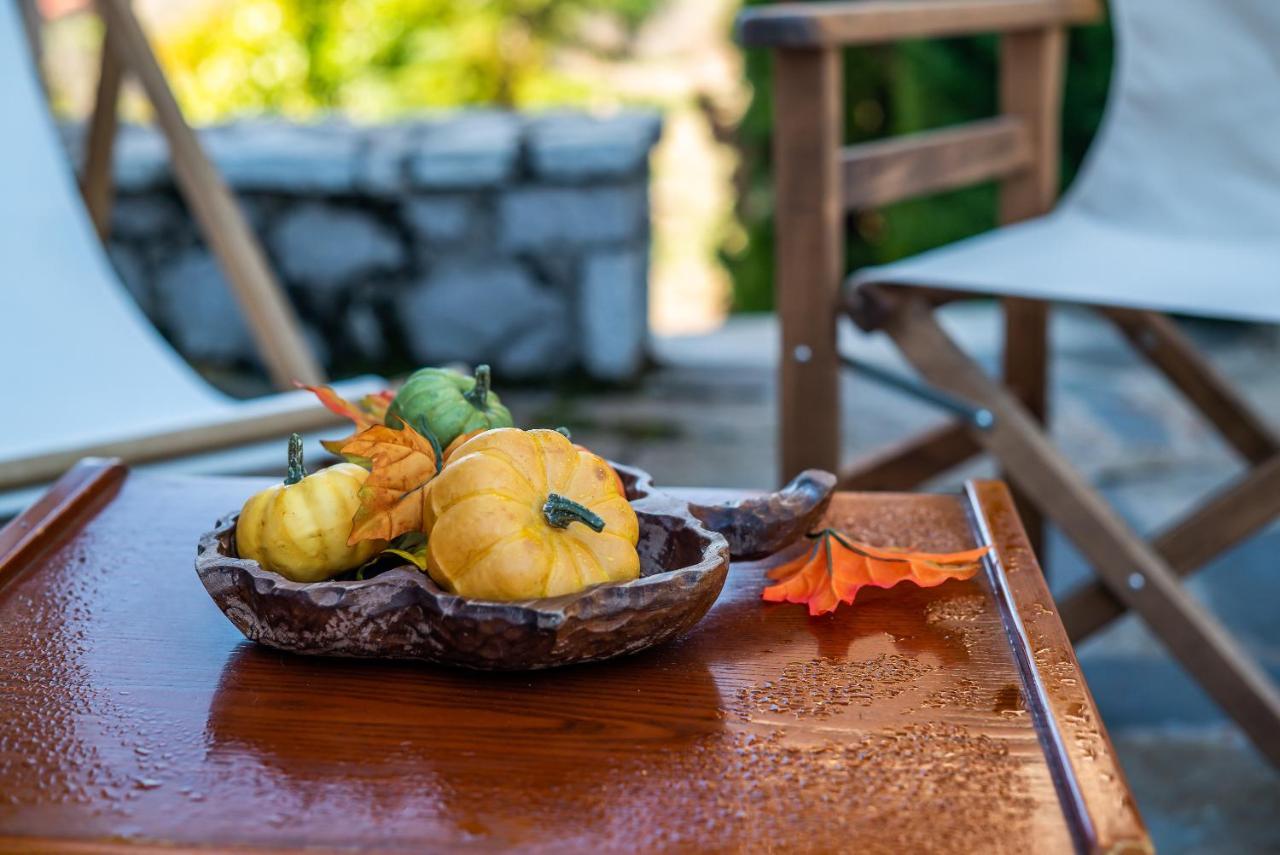 Livadi Cozy Villa Arachova Eksteriør billede
